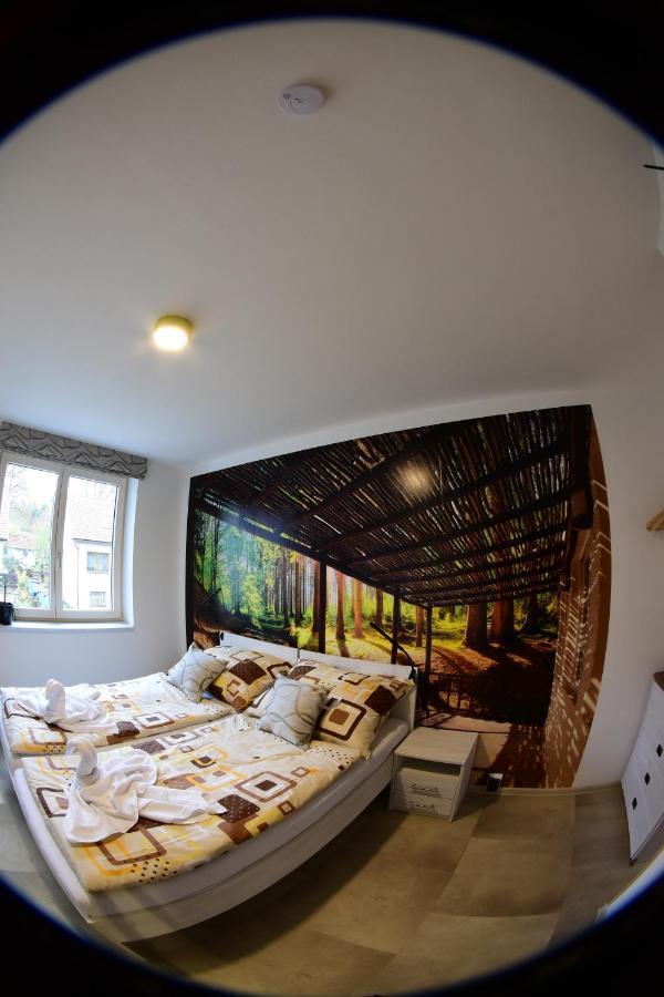 チェスキー クルムロフ Element Bed & Breakfast エクステリア 写真