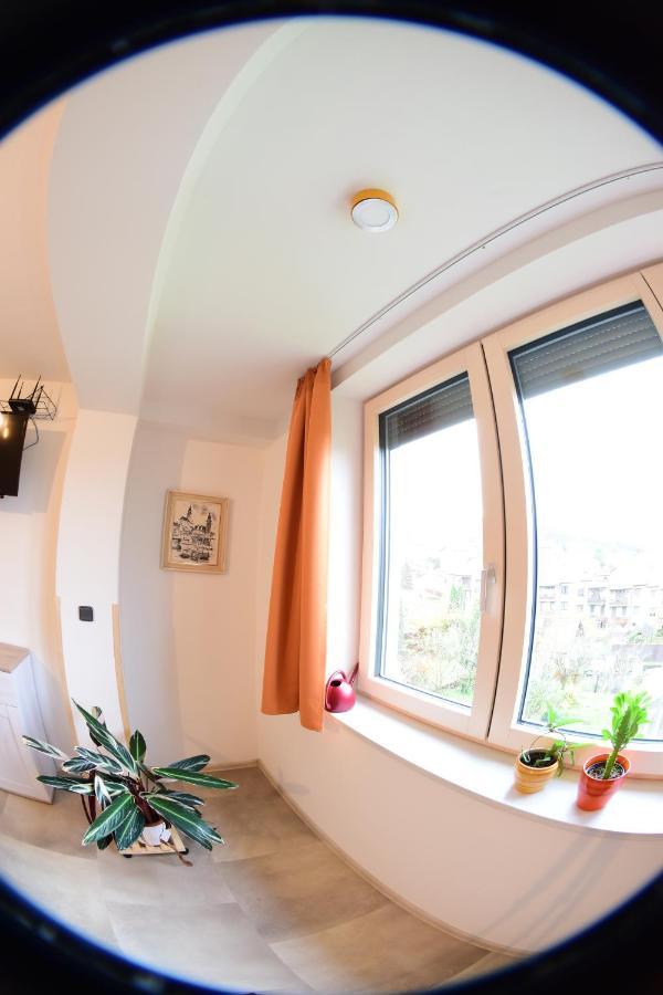チェスキー クルムロフ Element Bed & Breakfast エクステリア 写真
